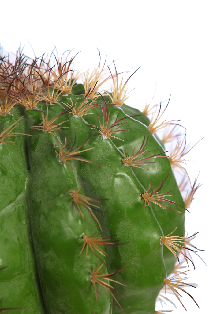 CACTUS BARRIL EN MACETA 48CM | andudecor.com