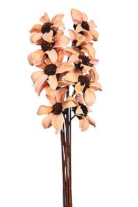 DHALIA FLOR SECA X 10