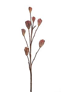 VARA CASABLANCA PODS 80CM