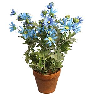 MACETA DE MARGARITAS 30CM