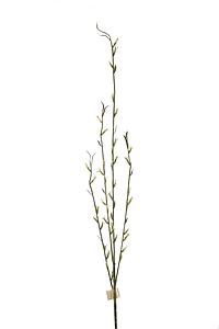 VARA FLOR LAVENDER 86CM 