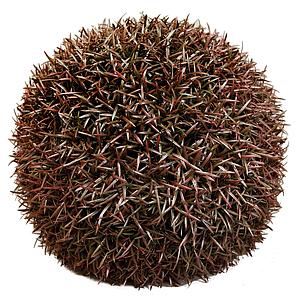 BOLA PODCARPUS ARTIFICIAL ø 43CM 