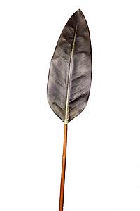 HOJA AVE DEL PARAISO 88 CM