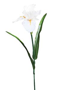 VARA IRIS ARTIFICIAL 62CM 