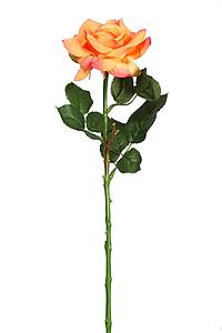 VARA DE ROSA 66 CM