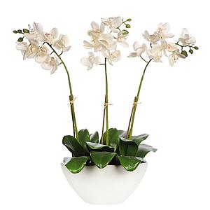 ORQUIDEA MINI PHALAENOPSIS ARTIFICIAL CON MACETA 52CM 