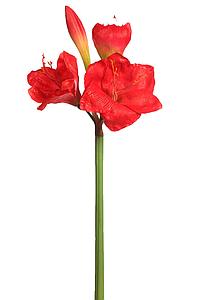 VARA AMARILIS 90CM