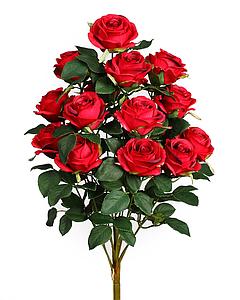 RAMO DE ROSAS X 15   54CM