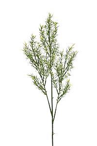 VARA WILD ARTIFICIAL 76CM 