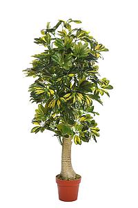 PLANTA CHEFLERA TRONCO CON MACETA 120CM