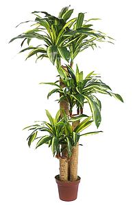 DRACENA ARTIFICIAL EN MACETA 135CM