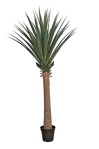 DRACENA DRACO ARTIFICIAL EN MACETA 210CM