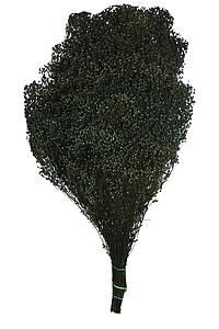 POMO BROOM OSCURO 55CM