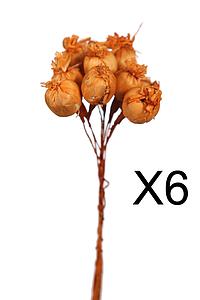 SET 6 RAMILLETES SOLA POPPY 22CM