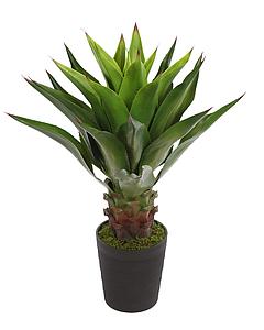 CACTUS AGAVE EN MACETA 85CM 