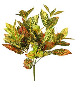PLANTA CROTON 34 CM