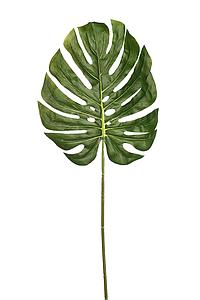HOJA DE MONSTERA ARTIFICIAL 80CM
