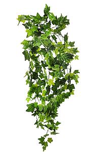 HIEDRA COLGANTE ARTIFICIAL 100CM