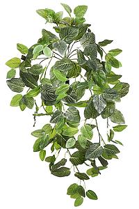 FITONIA COLGANTE ARTIFICIAL 80CM