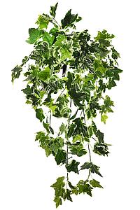 HIEDRA ARTIFICIAL COLGANTE 80 CM