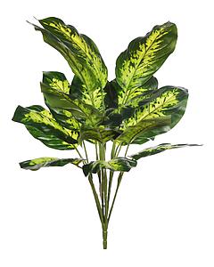 PLANTA  DIEFFENBACHIA 45CM