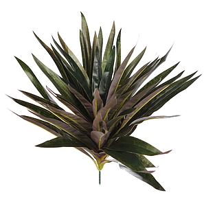 PLANTA DRACENA P. 30CM