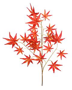 HOJA ARCE OTOÑAL 66 CM