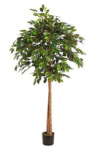 ARBOL COPA FICUS CON MACETA 190CM