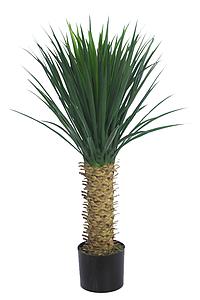 PLANTA DE AGAVE CACTUS CON MACETA 94 CM