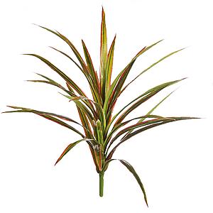 PLANTA YUCCA 68CM
