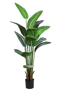 PLATANERA ARTIFICIAL 183 CM