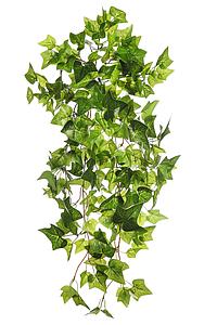 MATA HIEDRA ARTIFICIAL 60CM