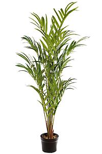 PALMERA KENTIA ARTIFICIAL 170CM
