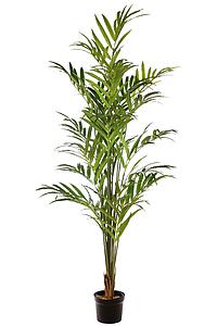 PALMERA KENTIA ARTIFICIAL 210CM