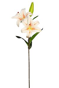 VARA LILIUM ARTIFICIAL 84CM