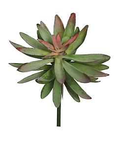 PLANTA CRASA ECHEVERIA HOOKERI ARTIFICIAL 17CM