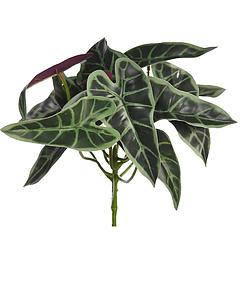 PLANTA SINGONIO FLECHA 25CM