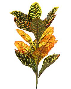 PLANTA CROTON ARTIFICIAL 60CM