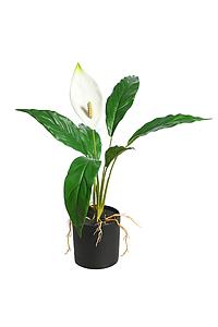 PLANTA SPATIFILIUM ARTIFICIAL EN MACETA 50CM