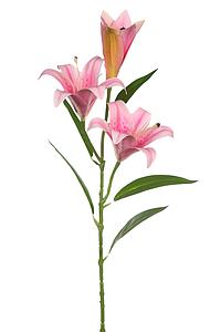 VARA LILIUM ARTIFICIAL 70CM