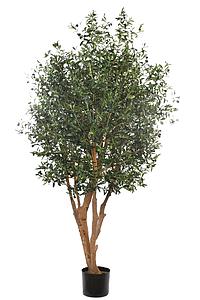 OLIVO ARTIFICIAL CON MACETA 240CM