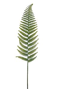 HOJA HELECHO ARTIFICIAL 90CM