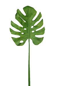 HOJA MONSTERA 90CM