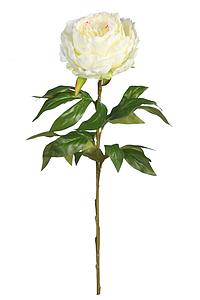 VARA PEONIA ARTIFICIAL 68CM