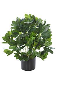 SCHEFFLERA ARTIFICIAL  45CM