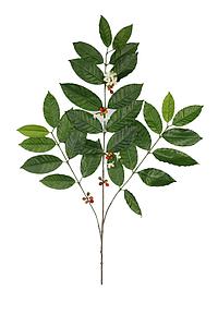 RAMAJE CAFE ARTIFICIAL 80CM