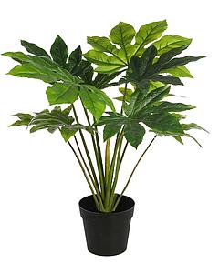 PLANTA ARALIA ARTIFICIAL EN MACETA 60CM