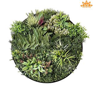 CUADRO VEGETAL REDONDO ø 100CM