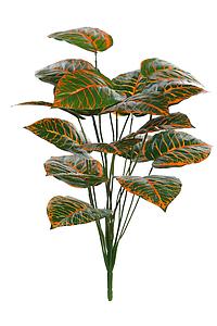 PLANTA CROTON ARTIFICIAL 65CM
