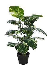 PLANTA POTHO EN MACETA ARTIFICIAL 65CM